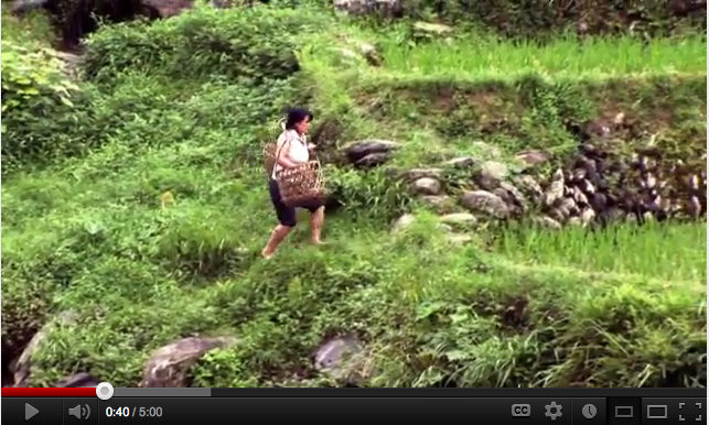 FARMD Annual Conference Introduction Video - Thai